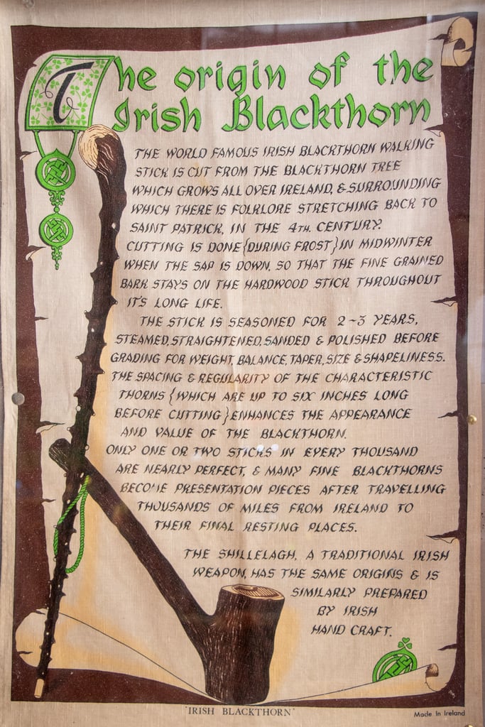 The origin of the Irish Blackthorn